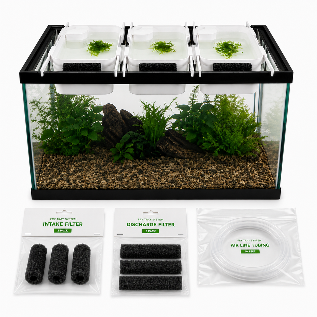10 Gallon Breeder Kit