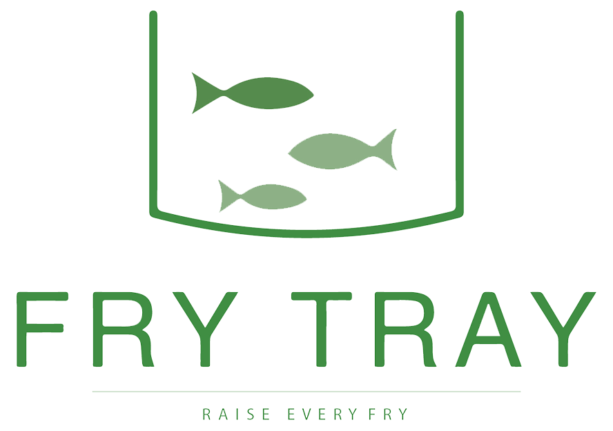 Fry Tray
