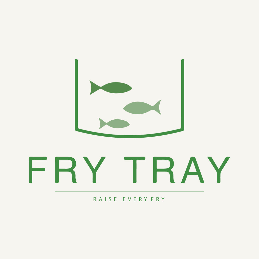 Fry Tray (Large)